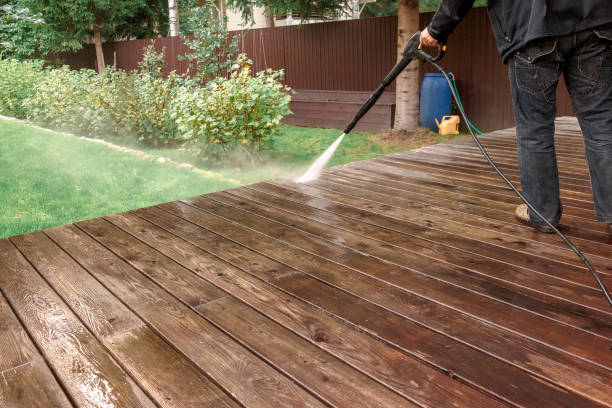 Best Pre-Holiday Cleaning  in Tuckahoe, VA