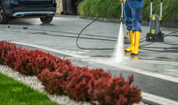 Best Solar Panel Cleaning  in Tuckahoe, VA